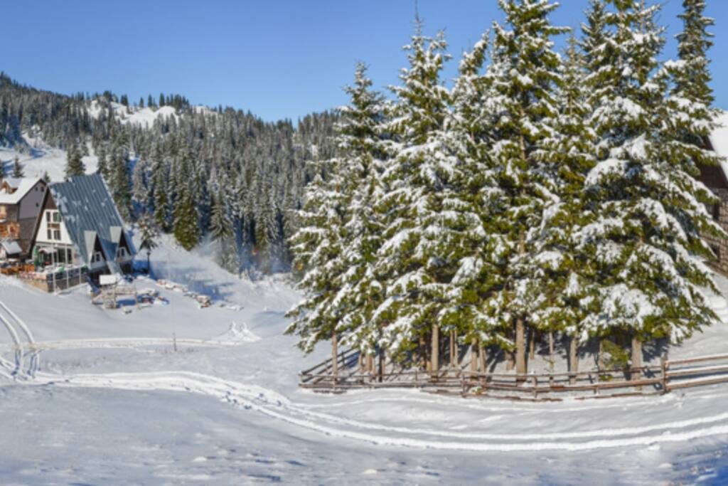 View of the plot by the piste