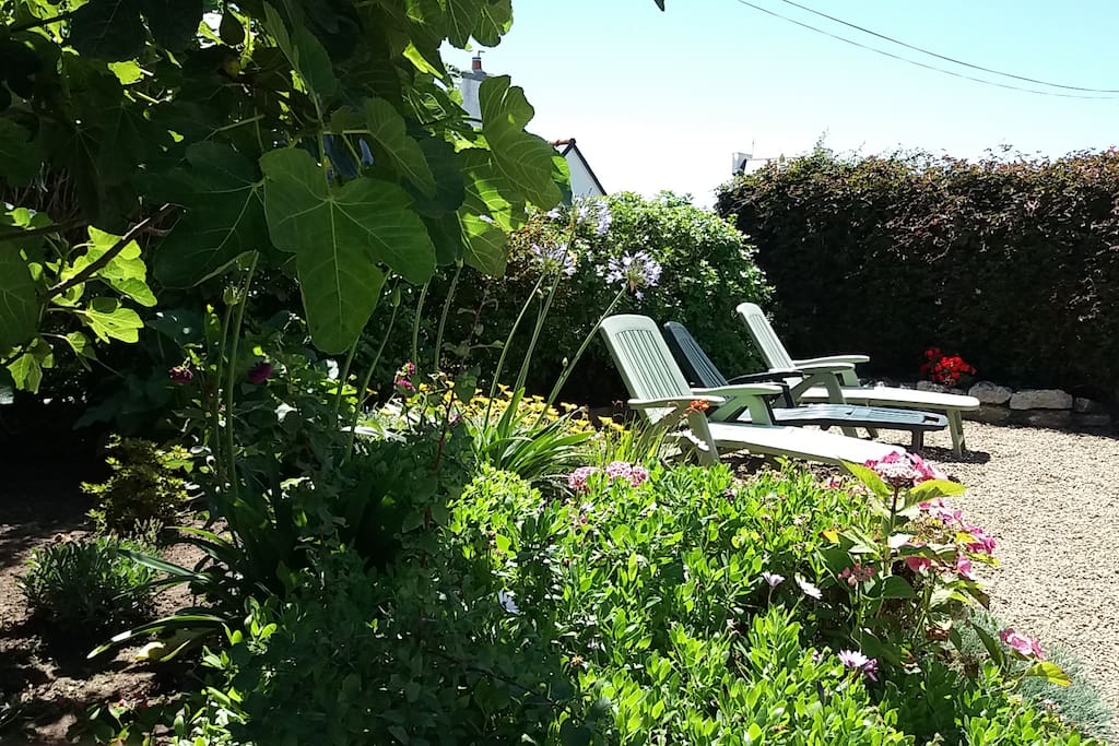 Jardin devant la maison