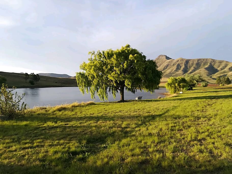 This lovely photo of Mount Horeb was taken by our recent guest Zolile.
