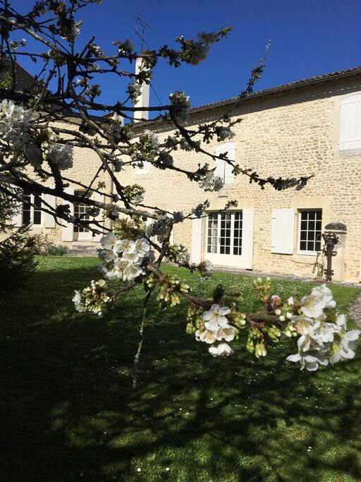 Le jardin
