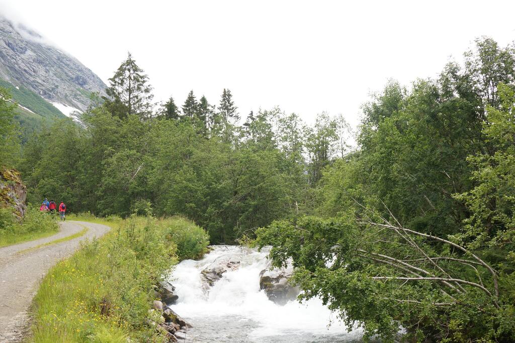 landskap in the area (nice area for trips in the natur)