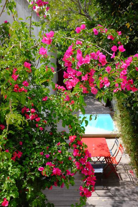 vue du jardin