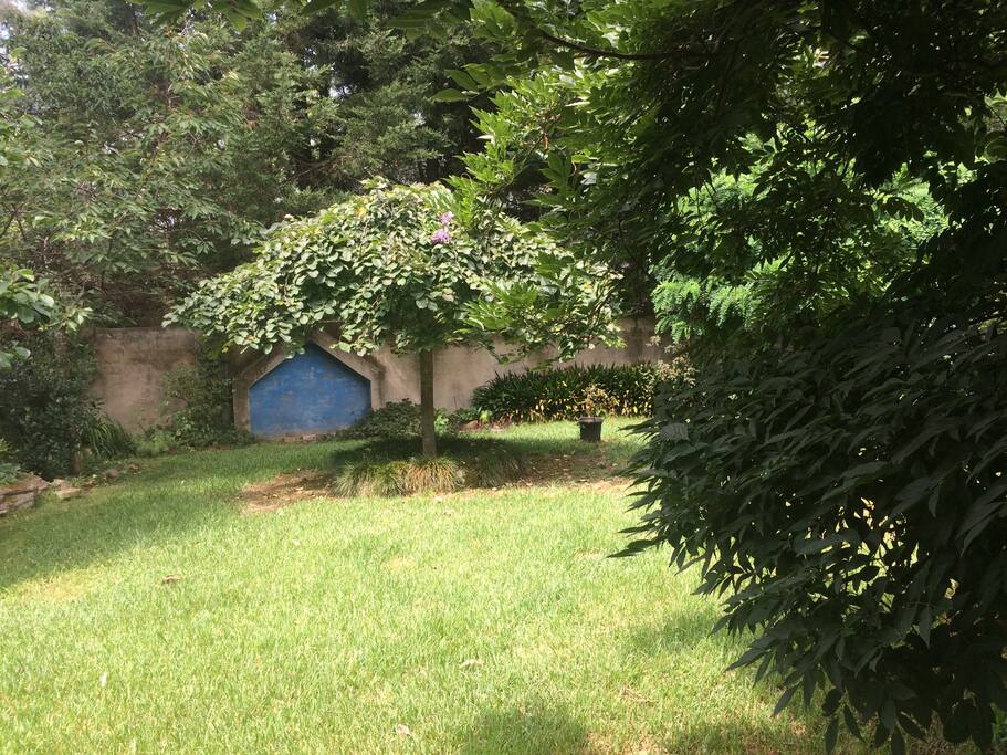 More of the garden.