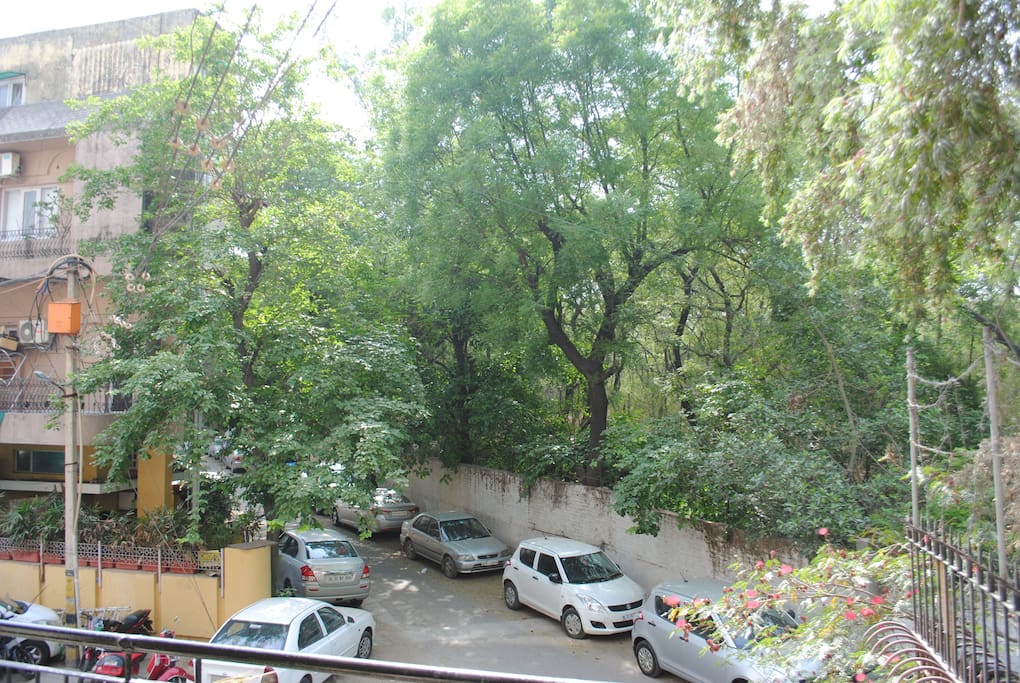 Down the street, with the forest on one side