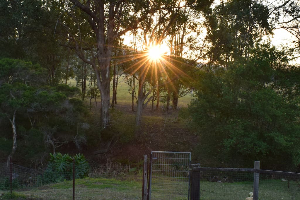 Breath in the peace of Mother Nature with sunset viewed from the back veranda of Judith, a delightful cottage in Bellbird Heights