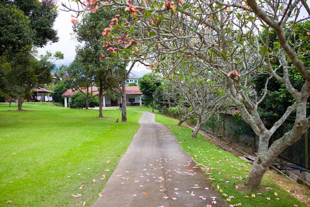A nice driveway to House of Sen