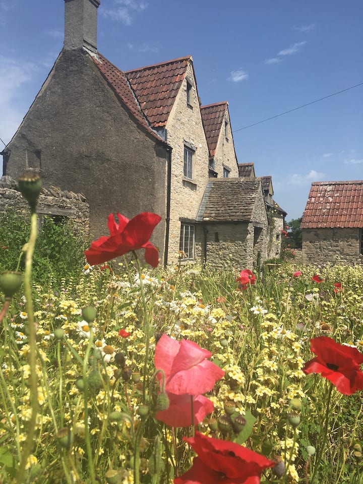 Characterful Farmhouse Bed and Breakfast. Bed and breakfasts for Rent