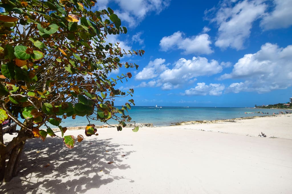 Our beach with a gentle entry and amazing snorkeling