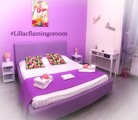 Alloggio Turistico Colosseo - LILLAC FLAMINGO