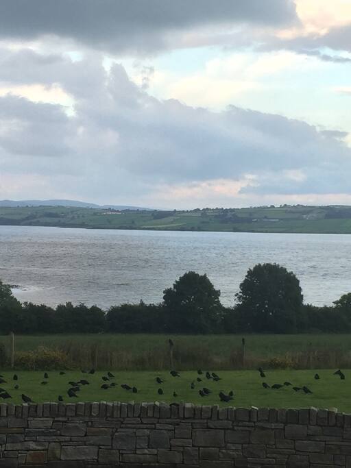 Water view from the house