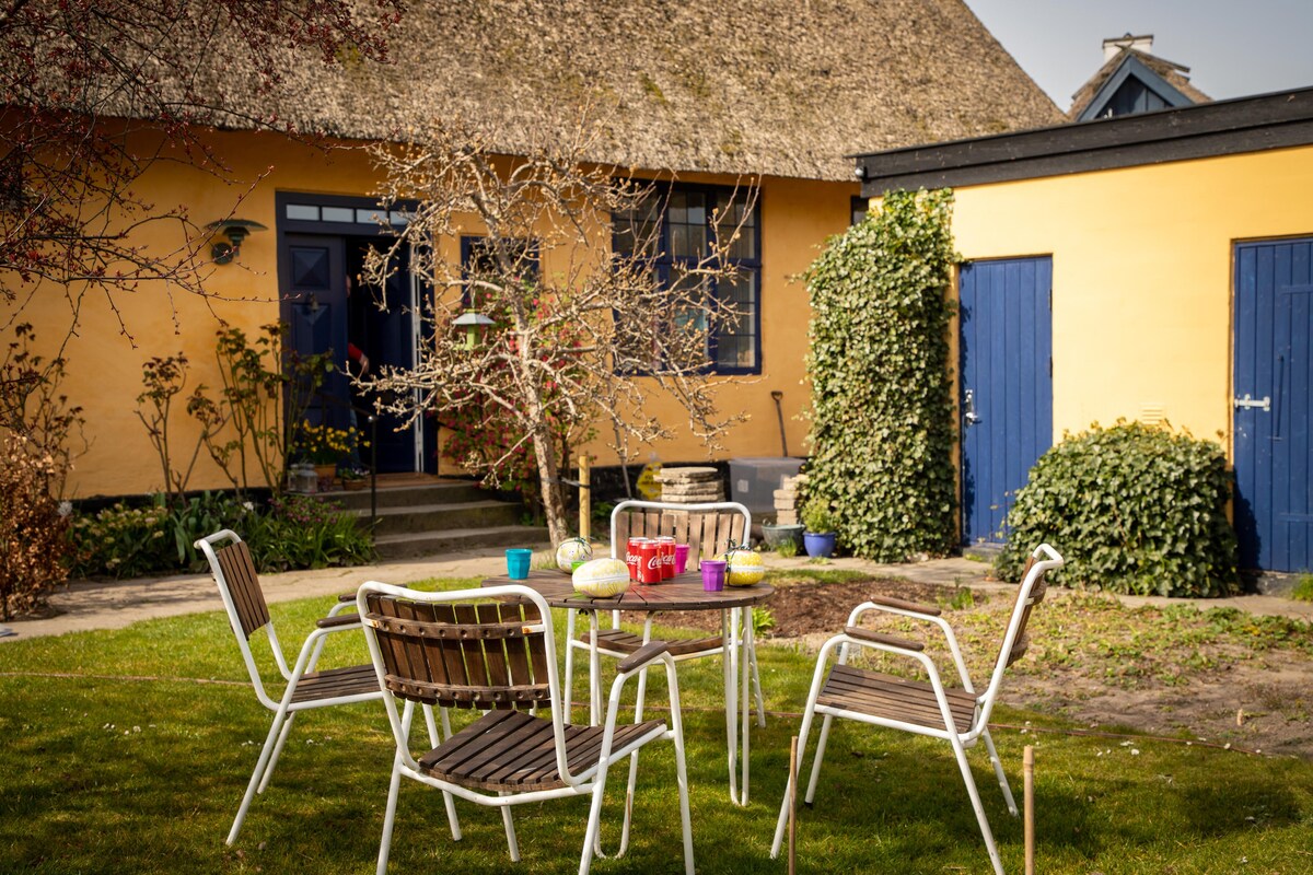 An outdoor seating area features a round table surrounded by four chairs on a manicured lawn. A vibrant yellow building stands in the background, complemented by dark blue doors. Nearby, an ornamental tree adds a touch of greenery to the inviting space.