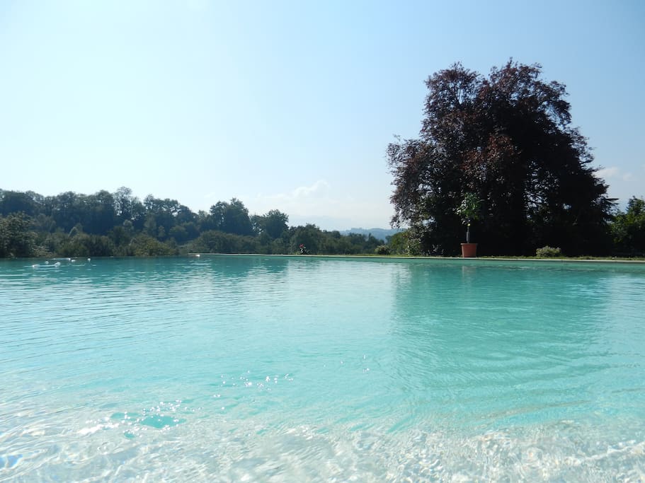 The infinity edge pool looking onto the Pyrenees.