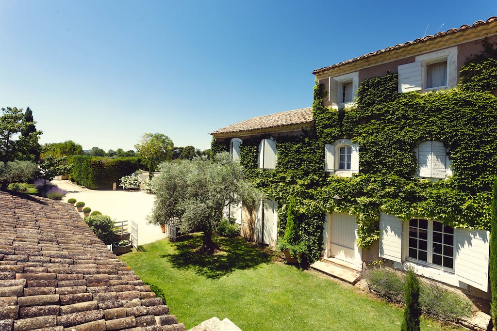 Jardin fleuri / cour privée