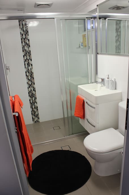 The bright ensuite with shower.
