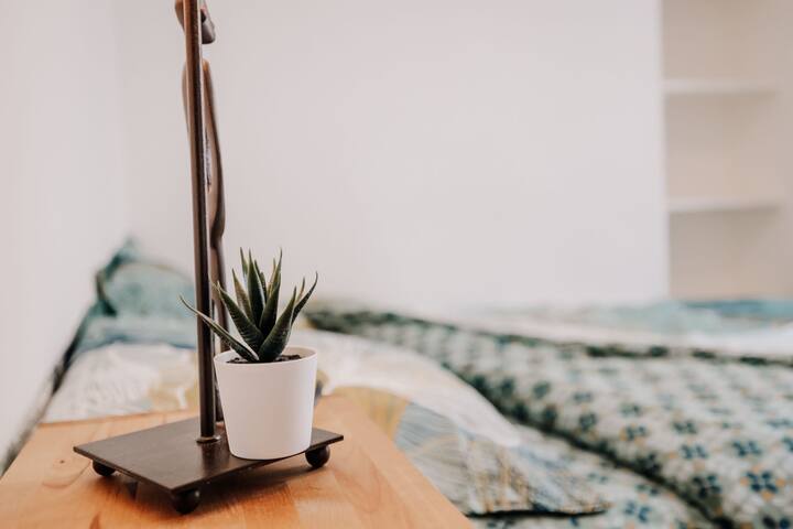 Habitación 1