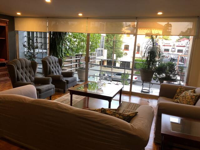 Beautiful and newly remodeled Condesa apartment gallery image 2