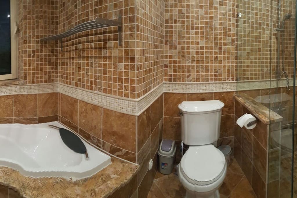 Master bathroom