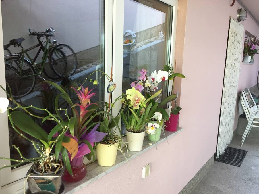 Entrance in the flat