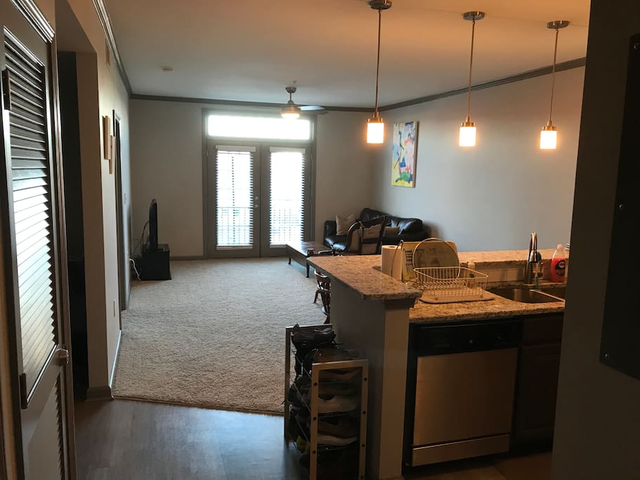 View as you walk in the door. Kitchen to your right, bathroom and closet to your left.