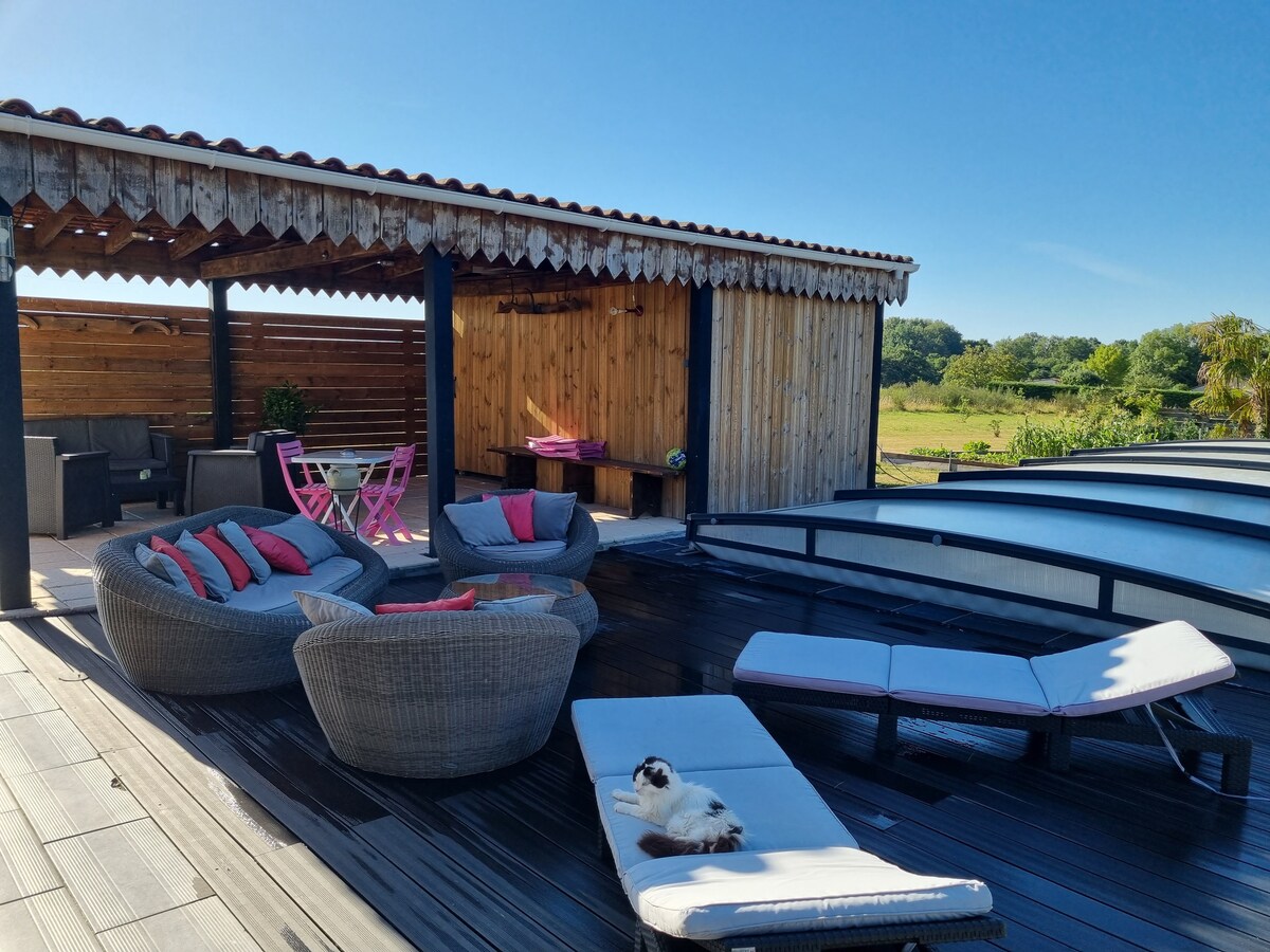 A rooftop terrace is featured with comfortable seating arrangements, including woven lounge chairs and sun loungers. A wooden pergola provides shade, while views of the surrounding greenery are visible in the background. A cat is seen relaxing on one of the loungers.