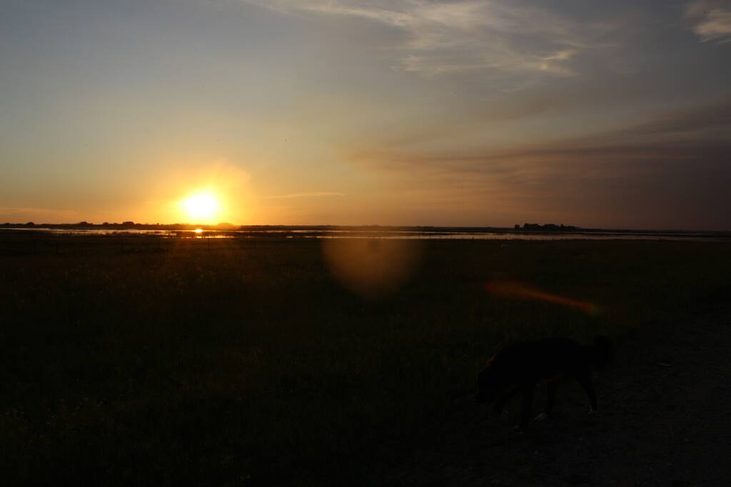 Sonnenuntergang am eigenen See
sunset out in happyland