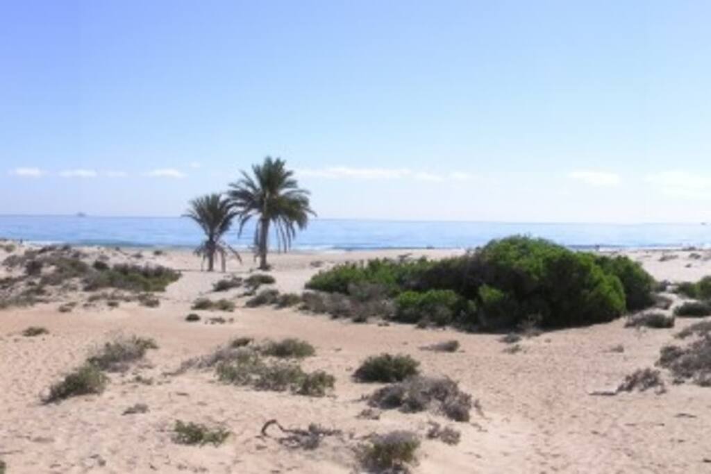 The dunes in front