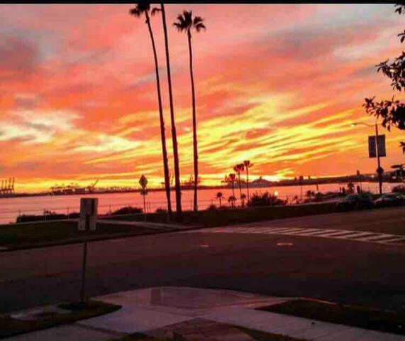 Ocean Front HOME with Amazing views gallery image 4