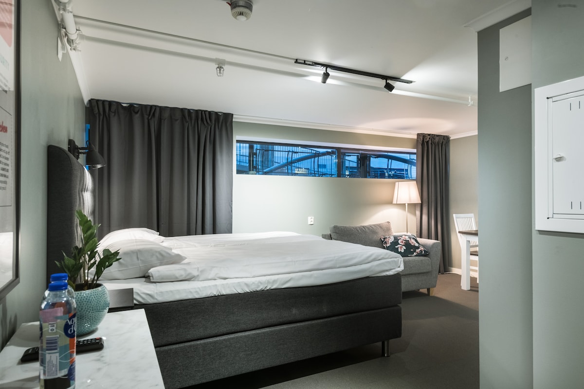 A spacious studio apartment is presented with a large bed alongside a cozy seating area. Natural light filters through high windows, and dark curtains frame the openings. A bedside table with a plant and a small sofa contribute to a comfortable ambiance.