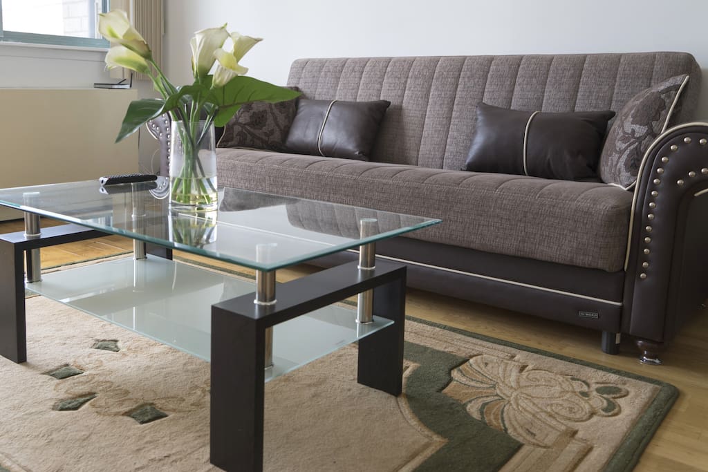 Reclinable sofa bed