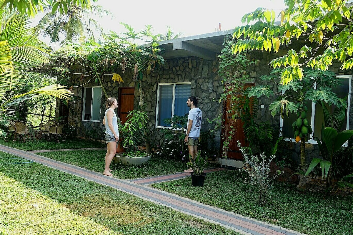 A stone-faced building is surrounded by lush greenery and palm trees, featuring an inviting pathway lined with plants. Windows framed in wood allow natural light to brighten the space, while a potted plant adds a touch of nature to the scene.
