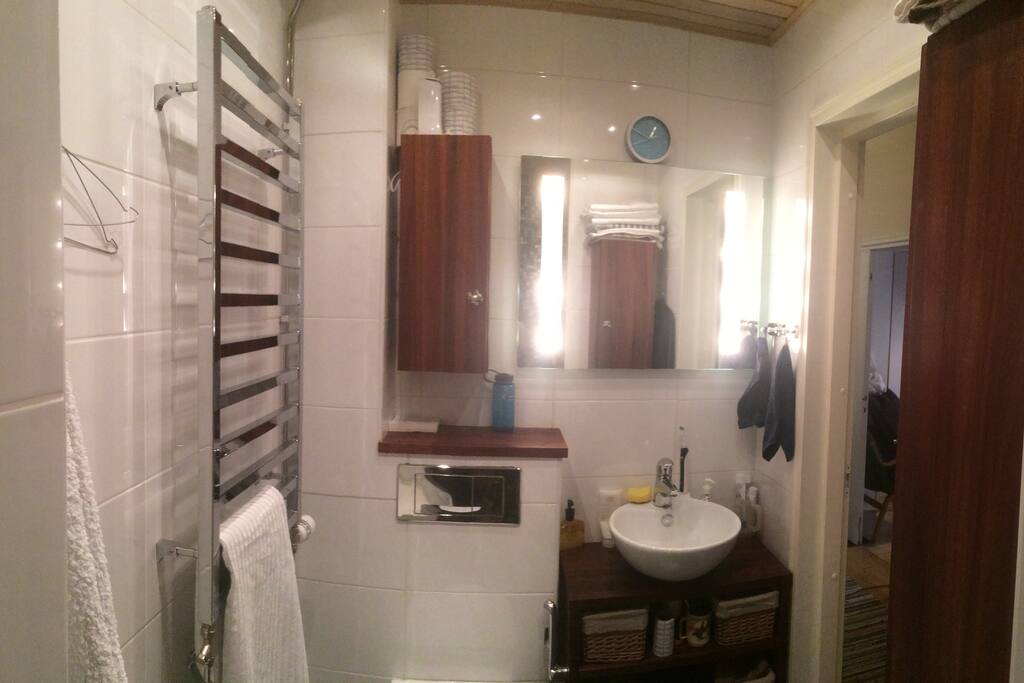 The bathroom. The photo is taken from the shower stall.