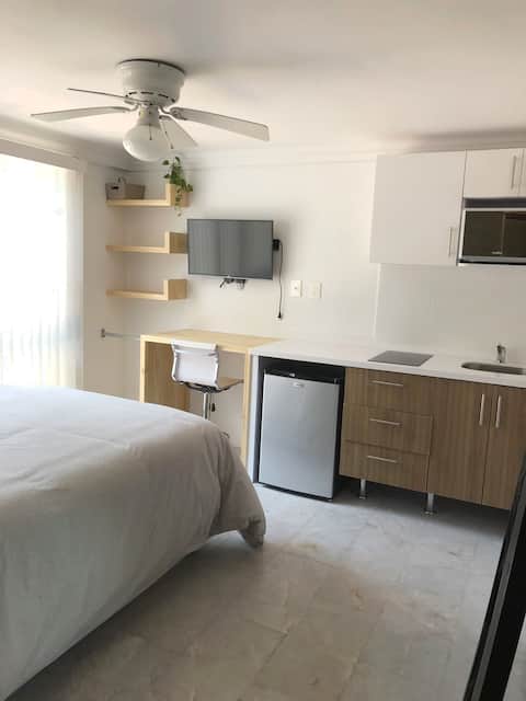 ESTUDIO  CENTRICO GDL, NUEVO (zona Minerva)