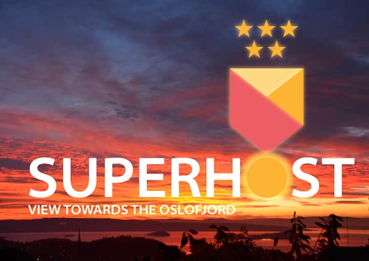 A beautiful, centrally located gem Houses for Rent in Oslo, Oslo, Norway Airbnb