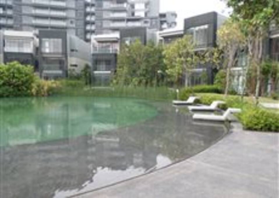 The Pool
