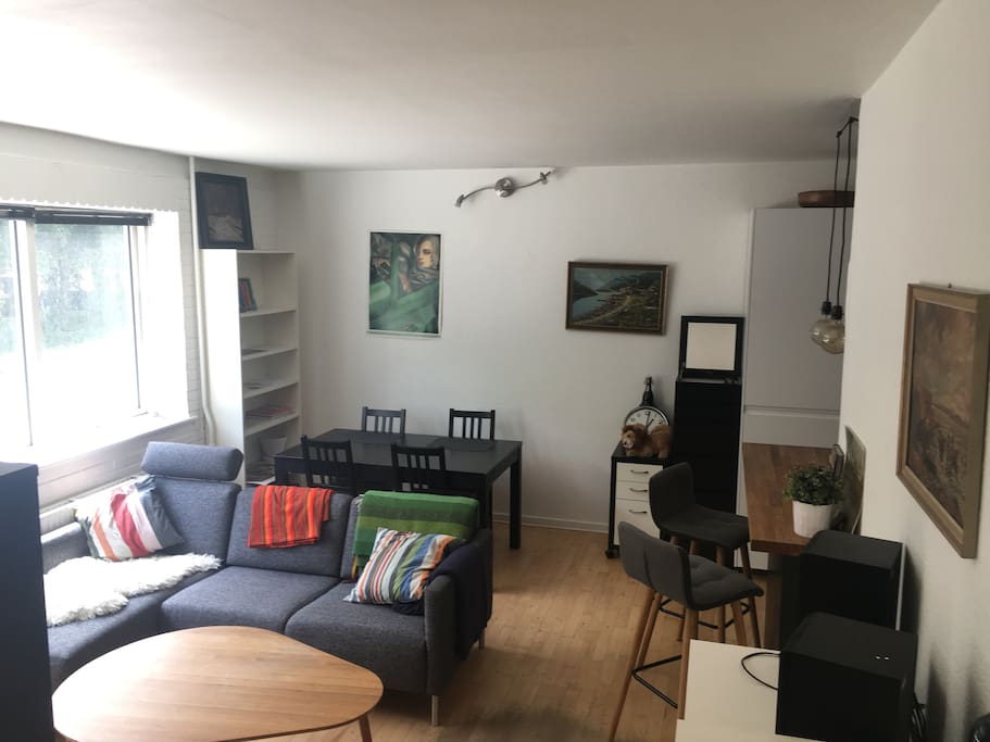 Space efficient apartment with new couch