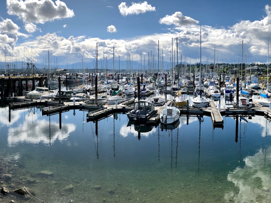 The Comox Marina