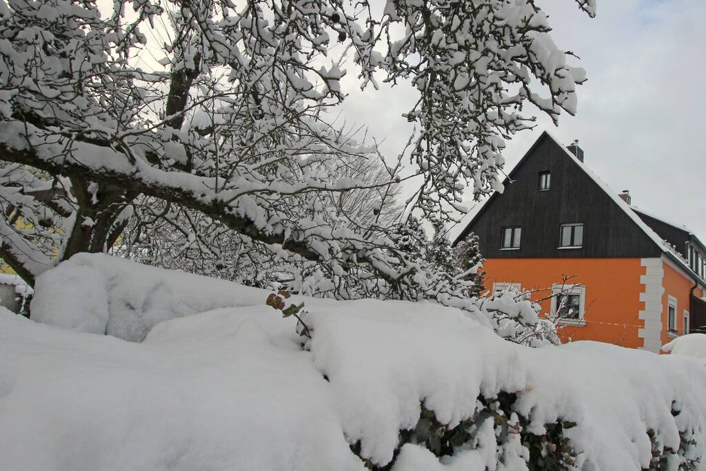 Winterzauber in der Waldstraße