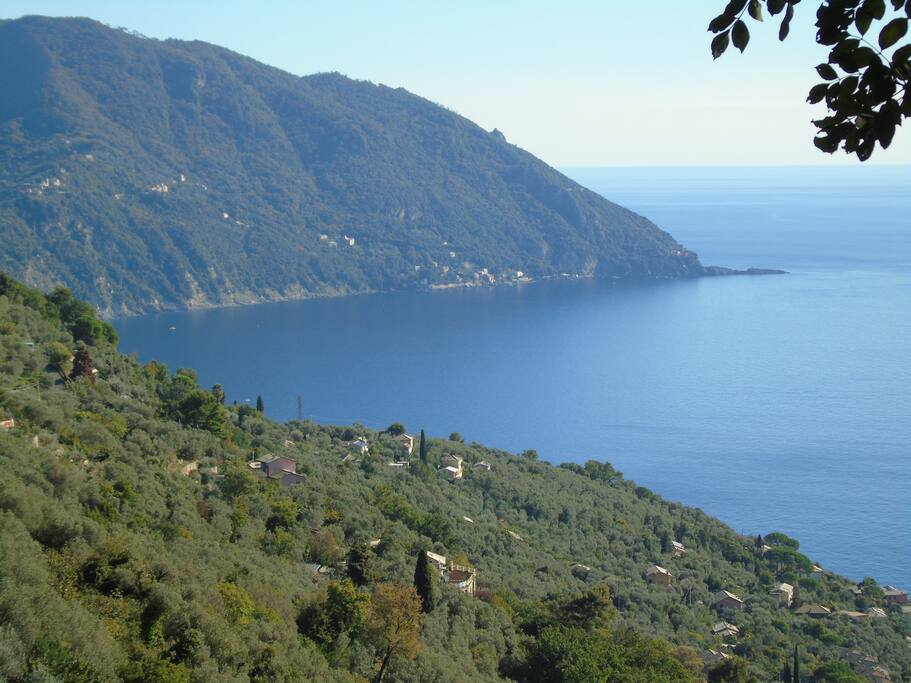 Vista dal giardino del promontorio di Portofino