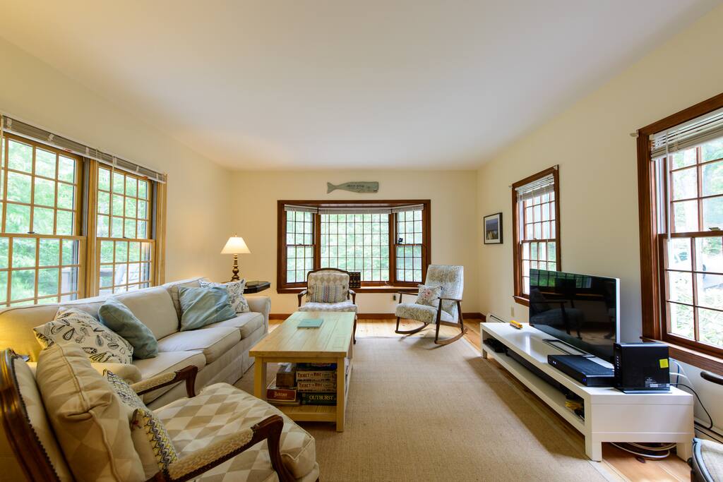 Large sunny living room