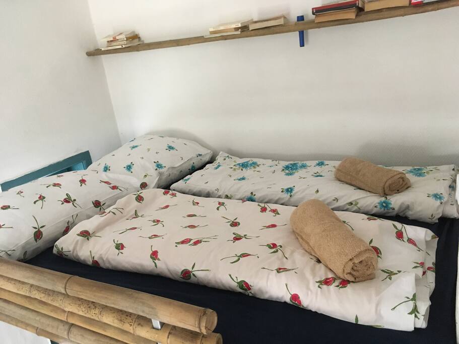 bed