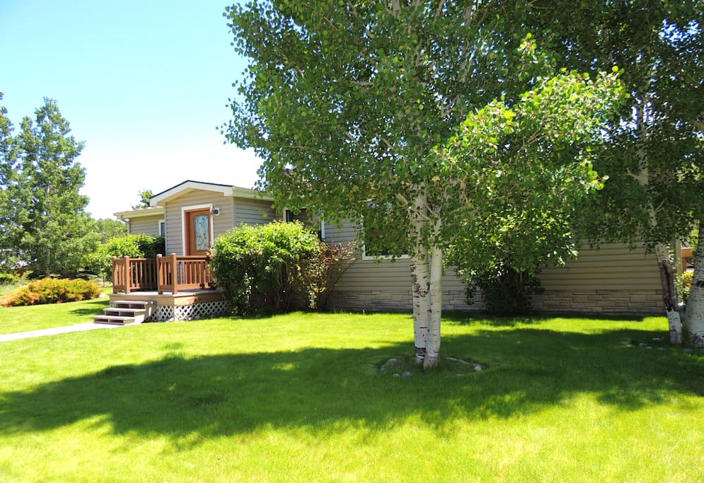 Beautiful mature trees surround our home.