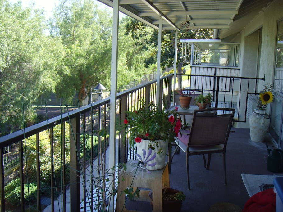 Relaxing on the Balcony