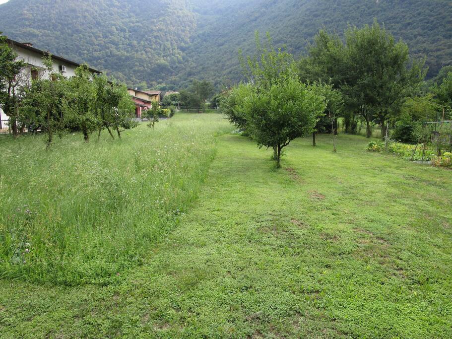 campo circostante la casa