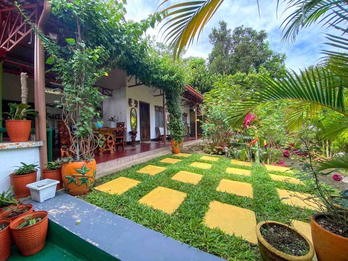 An outdoor garden area features vibrant greenery and neatly arranged yellow stepping stones on lush grass. Potted plants in clay containers line the edges, while trees and flowers add natural beauty to the space. The setting exudes a tranquil atmosphere suitable for relaxation.