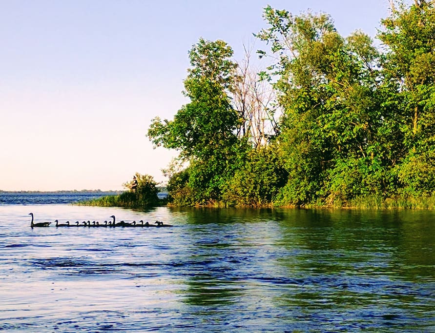The backyard - This is what you wake up to. Too bad you can't hear the sounds... people buy relaxation tapes that are as appeasing as the sounds of the birds and the flowing river. This is the soundtrack of your stay. By the way, you have full access to the river.