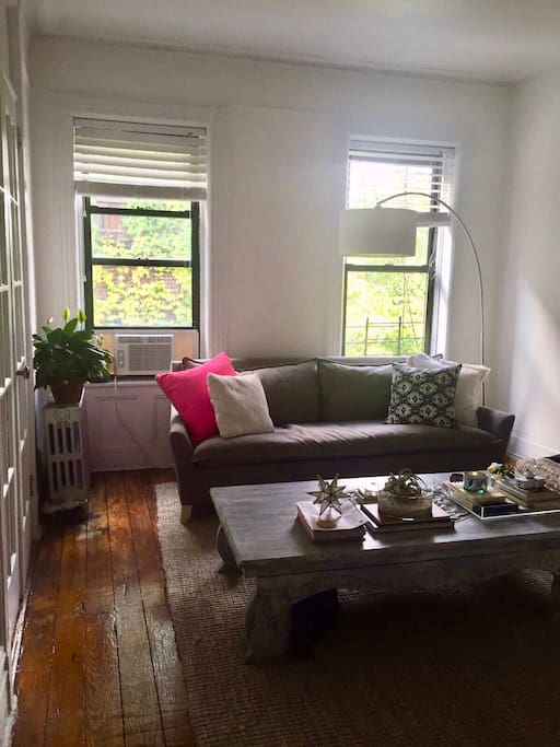 Bright and quiet living room with queen sleeper sofa