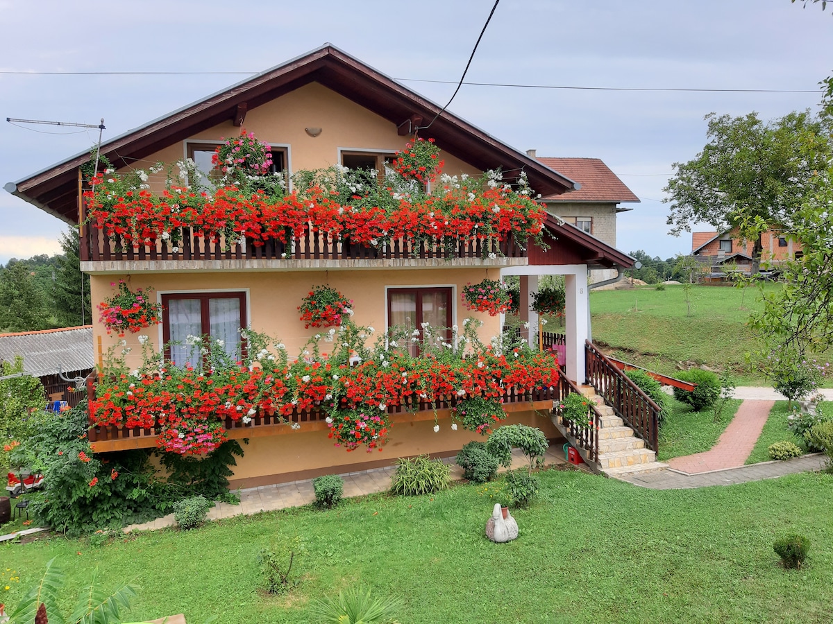 A two-story house is showcased with vibrant flower boxes filled with red blooms adorning the balconies. Lush greenery surrounds the property, complemented by neatly trimmed grass and stone pathways leading to the entrance. The tranquil setting is enhanced by a variety of plants around the exterior.