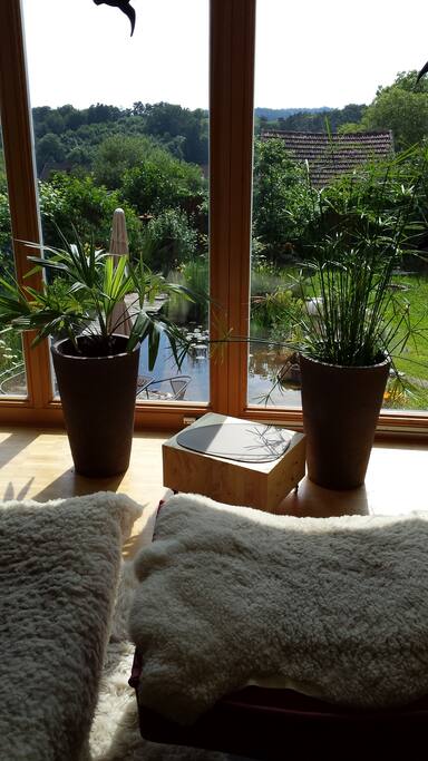 Blick zum Garten mit dem Teich.