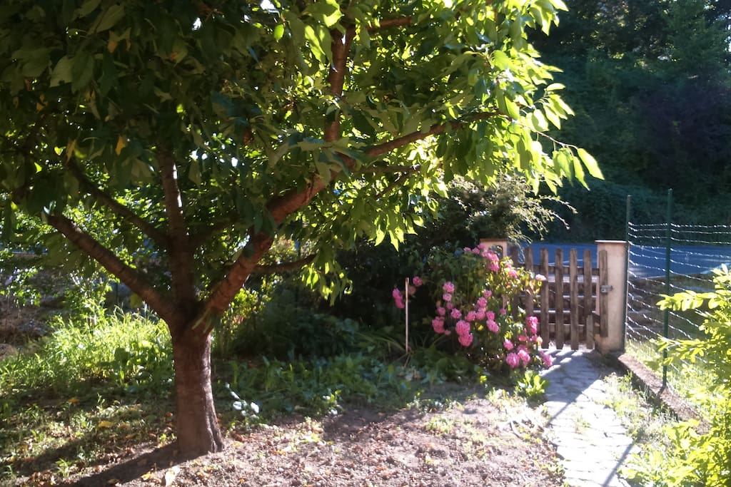 jardin