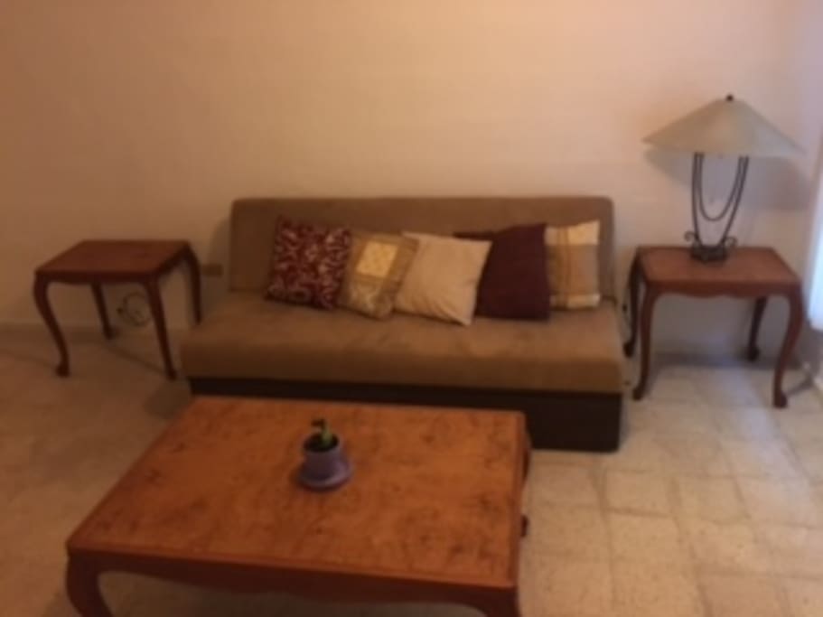 estancia con sofa cama